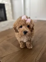 processed/a0cae2be-d687-45cd-8eeb-a0ef6375ec12/listing/3e8860ec-12ad-48b3-87ed-d9dd03a1c43a/e816aa5b-6fe8-4b8e-9355-85192bd200de