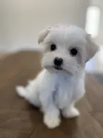 processed/a0cae2be-d687-45cd-8eeb-a0ef6375ec12/listing/5166e54f-3e1c-4334-8361-61f1fa24279a/08b1dcc4-86dd-4bf4-b964-d3d8624dc32c