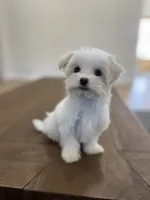 processed/a0cae2be-d687-45cd-8eeb-a0ef6375ec12/listing/5166e54f-3e1c-4334-8361-61f1fa24279a/d073b832-1313-4120-8304-d38af54d05f9