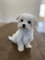 processed/a0cae2be-d687-45cd-8eeb-a0ef6375ec12/listing/5166e54f-3e1c-4334-8361-61f1fa24279a/ecf3dac0-fa7c-446f-9a26-f0088eb12720