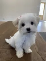 processed/a0cae2be-d687-45cd-8eeb-a0ef6375ec12/listing/5166e54f-3e1c-4334-8361-61f1fa24279a/f029bc9d-fd71-4c76-9d0d-1bc86ea2d466