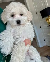 processed/a0cae2be-d687-45cd-8eeb-a0ef6375ec12/listing/d38c8dfb-1bf0-4e44-b945-1535843d0bef/6f8c9333-4363-45c5-a0f2-183650d6356b