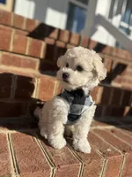 processed/a0cae2be-d687-45cd-8eeb-a0ef6375ec12/listing/d38c8dfb-1bf0-4e44-b945-1535843d0bef/b5deb233-7a4b-4bd0-9d62-703313b253a1