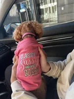 Honey, a female Cockapoo for sale in Brooklyn, NY – 9 of 10