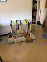 Max , a male Golden Retriever for sale in New Britain, CT – Photo 7 of 8