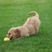 processed/a0e2cf13-d5fd-4dd3-aded-cb36b2c9872b/facility/11f697e9-78d8-4b25-8066-21f8ecce3b83