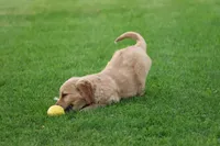 processed/a0e2cf13-d5fd-4dd3-aded-cb36b2c9872b/facility/11f697e9-78d8-4b25-8066-21f8ecce3b83