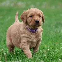 processed/a0e2cf13-d5fd-4dd3-aded-cb36b2c9872b/facility/2668af42-e123-4a57-8841-68377455852c