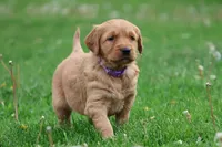 processed/a0e2cf13-d5fd-4dd3-aded-cb36b2c9872b/facility/2668af42-e123-4a57-8841-68377455852c