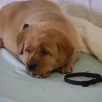 processed/a0e2cf13-d5fd-4dd3-aded-cb36b2c9872b/facility/2b7d3695-bb6e-4804-93c8-e832c1bb7322