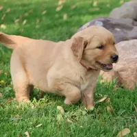 processed/a0e2cf13-d5fd-4dd3-aded-cb36b2c9872b/facility/3b1188ba-2ddf-4d8c-ae78-a76b35c356c7