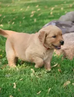 processed/a0e2cf13-d5fd-4dd3-aded-cb36b2c9872b/facility/3b1188ba-2ddf-4d8c-ae78-a76b35c356c7