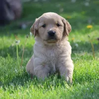 processed/a0e2cf13-d5fd-4dd3-aded-cb36b2c9872b/facility/629929d7-d45d-49e2-ab61-42b033410d91