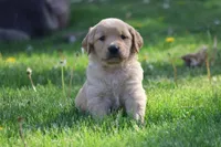 processed/a0e2cf13-d5fd-4dd3-aded-cb36b2c9872b/facility/629929d7-d45d-49e2-ab61-42b033410d91