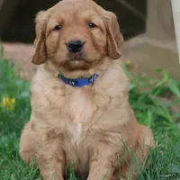 processed/a0e2cf13-d5fd-4dd3-aded-cb36b2c9872b/facility/a36d8c53-2f8e-44bf-ba9e-012d372ee514