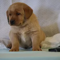 processed/a0e2cf13-d5fd-4dd3-aded-cb36b2c9872b/facility/a79fa264-3096-48c3-8114-122579ef30a0