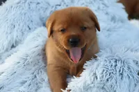 processed/a0e2cf13-d5fd-4dd3-aded-cb36b2c9872b/facility/c3034802-47f8-4b74-bfad-67862a0d10a2