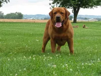 processed/a0e2cf13-d5fd-4dd3-aded-cb36b2c9872b/facility/f38b1be1-667c-40e4-9e6f-fd8150f52d44