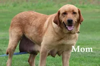 processed/a0e2cf13-d5fd-4dd3-aded-cb36b2c9872b/facility/f612b42d-dc07-4532-8b7b-e16afec73fe1