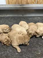 processed/a0e2cf13-d5fd-4dd3-aded-cb36b2c9872b/listing/49e46bce-de05-4440-a356-99e0ac017fde/7b22b11f-189c-4eea-b90c-5878a9af156e