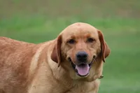 processed/a0e2cf13-d5fd-4dd3-aded-cb36b2c9872b/listing/49e46bce-de05-4440-a356-99e0ac017fde/82fbee06-b8bc-4934-abdb-43982b50c3ee