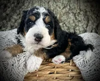 processed/a0e83c42-085c-4a46-82f0-c6fa9fe7e20a/facility/999f5eb9-ce22-44ff-ba23-273e5b2607e1