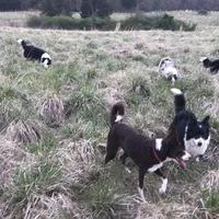 processed/a0e8e344-8c8a-4b22-81c7-7916886531f5/facility/9cea4545-18dc-48be-bd7e-3b0bc8555365