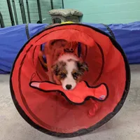 processed/a0e8e344-8c8a-4b22-81c7-7916886531f5/facility/bc257ecc-47e4-4540-8799-7e1af5b1312b