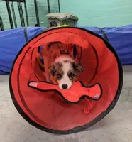 processed/a0e8e344-8c8a-4b22-81c7-7916886531f5/facility/bc257ecc-47e4-4540-8799-7e1af5b1312b