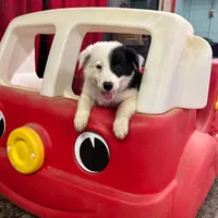 processed/a0e8e344-8c8a-4b22-81c7-7916886531f5/facility/e5ef9527-9241-4c39-9ac0-20c434140943