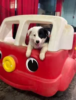 processed/a0e8e344-8c8a-4b22-81c7-7916886531f5/facility/e5ef9527-9241-4c39-9ac0-20c434140943