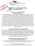 Benedict, a male Border Collie for sale in Cleveland, NC – Photo 4 of 4