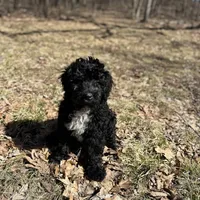 processed/a1041e7d-7da8-4d4d-a4a6-bfee10e36848/facility/01462b2f-ad0a-4a30-8f8e-aa1542e23520