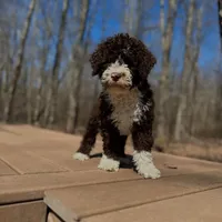 processed/a1041e7d-7da8-4d4d-a4a6-bfee10e36848/facility/160e4d5a-e8ce-44ed-b841-7168b09257e0