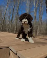 processed/a1041e7d-7da8-4d4d-a4a6-bfee10e36848/facility/160e4d5a-e8ce-44ed-b841-7168b09257e0