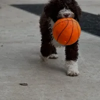 processed/a1041e7d-7da8-4d4d-a4a6-bfee10e36848/facility/4716912b-52fb-4cd6-8274-874adc39a01a