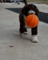 processed/a1041e7d-7da8-4d4d-a4a6-bfee10e36848/facility/4716912b-52fb-4cd6-8274-874adc39a01a