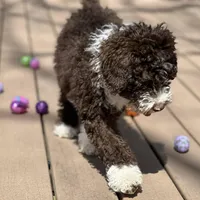 processed/a1041e7d-7da8-4d4d-a4a6-bfee10e36848/facility/486ad145-7773-432d-97a4-24d604f28e01