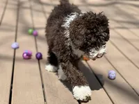 processed/a1041e7d-7da8-4d4d-a4a6-bfee10e36848/facility/486ad145-7773-432d-97a4-24d604f28e01