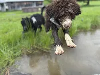 processed/a1041e7d-7da8-4d4d-a4a6-bfee10e36848/facility/6128aacf-427a-4531-a157-2f0caa187eb9