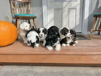 processed/a1041e7d-7da8-4d4d-a4a6-bfee10e36848/facility/6377e12e-c0c2-4eae-a4d7-cb856bfeb0fe