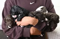 processed/a1041e7d-7da8-4d4d-a4a6-bfee10e36848/facility/9a13aca9-88ad-4d4a-8b75-4f6e230a7c29