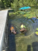 processed/a1041e7d-7da8-4d4d-a4a6-bfee10e36848/facility/b49d90fb-d145-4594-b248-76a4ace7be97