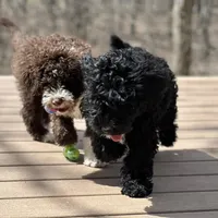 processed/a1041e7d-7da8-4d4d-a4a6-bfee10e36848/facility/db9901ee-64c9-49ff-b81d-742c2bb6f046