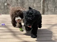 processed/a1041e7d-7da8-4d4d-a4a6-bfee10e36848/facility/db9901ee-64c9-49ff-b81d-742c2bb6f046