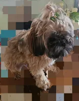 processed/a10c3a7b-d669-41de-9e57-fc5b483e05d5/listing/b9781069-8e47-412a-bdfc-f79282a066b8/08f25fb5-aa18-4113-8df5-41dfa5dfa595