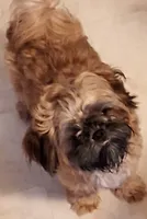 processed/a10c3a7b-d669-41de-9e57-fc5b483e05d5/listing/b9781069-8e47-412a-bdfc-f79282a066b8/4468d5ac-34fe-4659-b231-895938795a6f