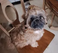 processed/a10c3a7b-d669-41de-9e57-fc5b483e05d5/listing/b9781069-8e47-412a-bdfc-f79282a066b8/b73a182f-b83f-4d34-8e58-1c2b6b2c2220