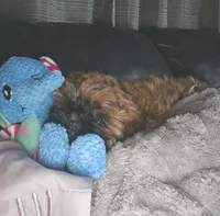 processed/a10c3a7b-d669-41de-9e57-fc5b483e05d5/listing/b9781069-8e47-412a-bdfc-f79282a066b8/cdbdc369-dc28-4592-bb22-8a40c58eb4bb