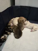 processed/a11bb651-bb18-45e4-9eba-69e69eebdf10/facility/575f2150-188e-47e8-8903-9be2fc3d9580